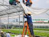 Thi công mái che ở khu nông nghiệp công nghệ cao TPHCM